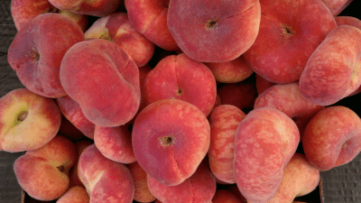 Screenshot of the application Full Screen Pic Picture Viewer - #6