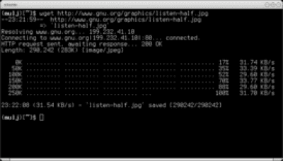 Screenshot of the application Wget - #1