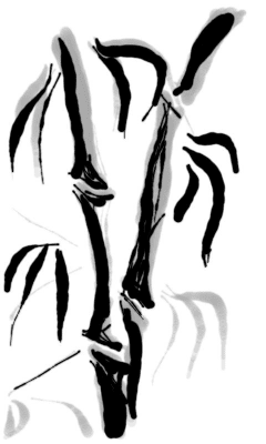 Screenshot of the application Sumi-e painting - #6