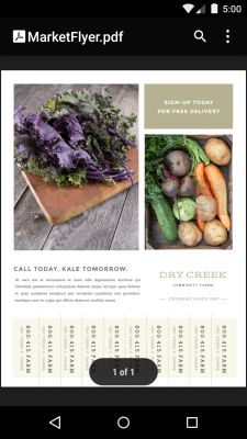 Screenshot of the application Google PDF Viewer - #4