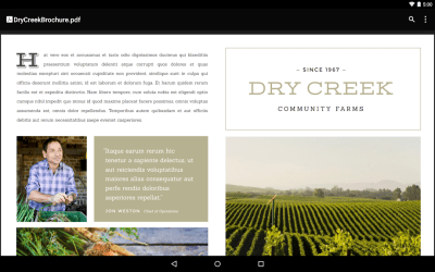 Screenshot of the application Google PDF Viewer - #5