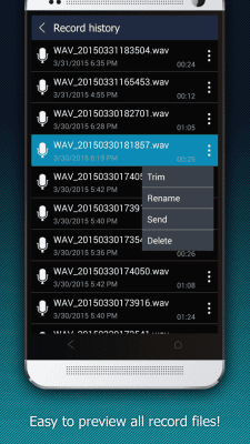 Screenshot of the application Rabbit Voice Recorder - #4