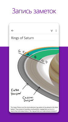 Screenshot of the application OneNote - #1