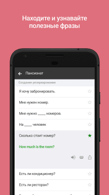 Screenshot of the application Microsoft Translator - #5