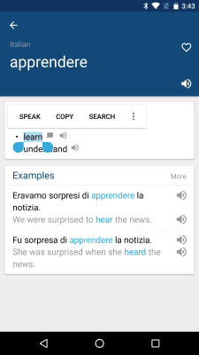 Screenshot of the application Italian English Dictionary - #2