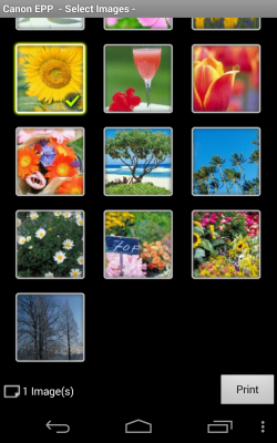 Screenshot of the application Canon Easy-PhotoPrint - #2