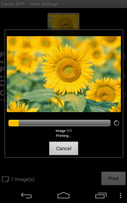 Screenshot of the application Canon Easy-PhotoPrint - #4