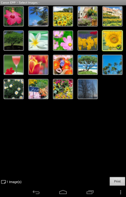 Screenshot of the application Canon Easy-PhotoPrint - #6
