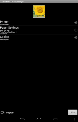 Screenshot of the application Canon Easy-PhotoPrint - #7