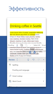 Screenshot of the application Microsoft Word - #3