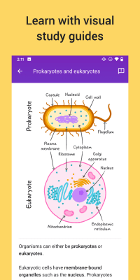 Screenshot of the application Socratic by Google - #5