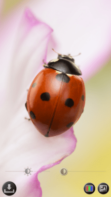 Screenshot of the application Magnifying glass and microscope - #5