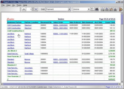 Screenshot of the application Compiere - #5