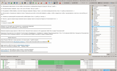 Screenshot of the application EiskaltDC++ - #2