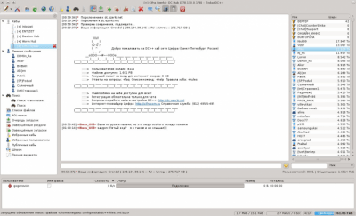 Screenshot of the application EiskaltDC++ - #3