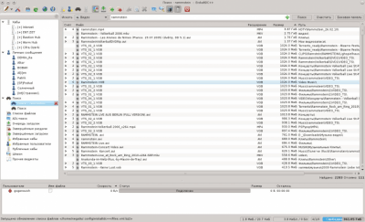 Screenshot of the application EiskaltDC++ - #4