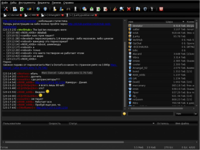 Screenshot of the application EiskaltDC++ - #5