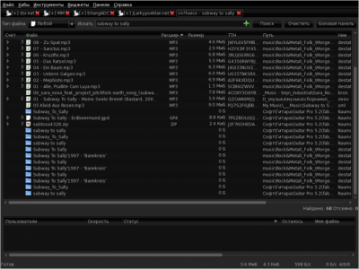 Screenshot of the application EiskaltDC++ - #6