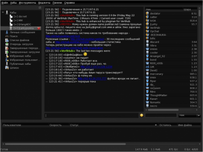 Screenshot of the application EiskaltDC++ - #7
