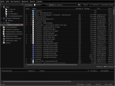 Screenshot of the application EiskaltDC++ - #8