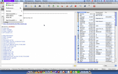 Screenshot of the application EiskaltDC++ - #9