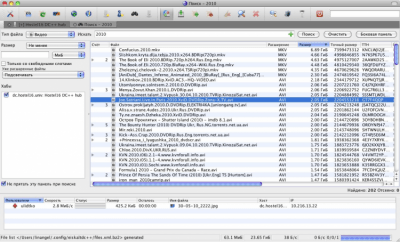 Screenshot of the application EiskaltDC++ - #10