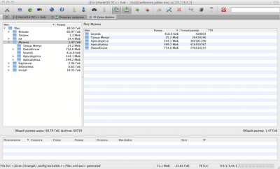 Screenshot of the application EiskaltDC++ - #11