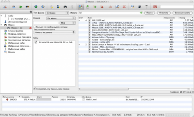 Screenshot of the application EiskaltDC++ - #12