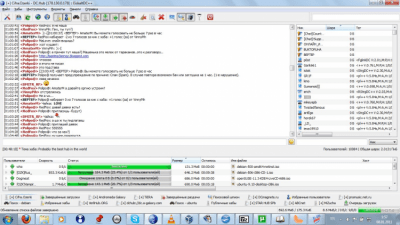 Screenshot of the application EiskaltDC++ - #14