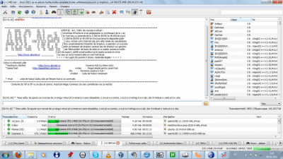 Screenshot of the application EiskaltDC++ - #15