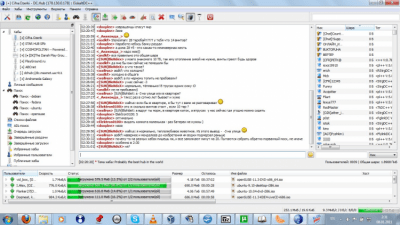 Screenshot of the application EiskaltDC++ - #16