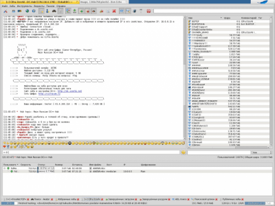 Screenshot of the application EiskaltDC++ - #17
