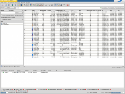 Screenshot of the application EiskaltDC++ - #18