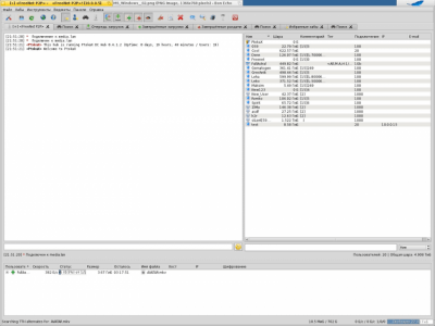 Screenshot of the application EiskaltDC++ - #19