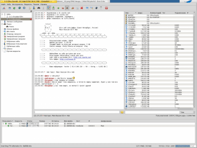 Screenshot of the application EiskaltDC++ - #20