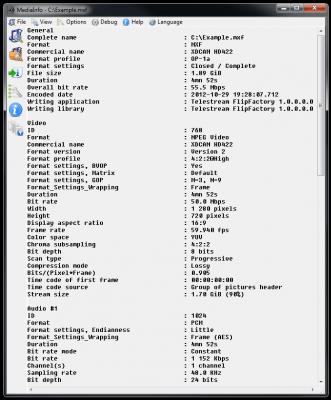 Screenshot of the application MediaInfo - #1