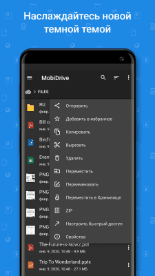 Screenshot of the application File Commander - #8