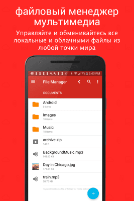 Screenshot of the application File Manager (File Manager) - #1