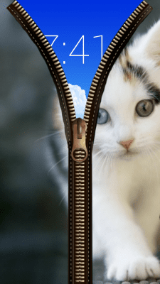 Screenshot of the application Cat Zipper Screen Lock - #4