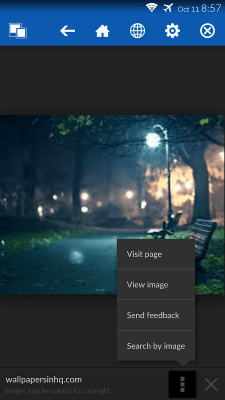 Screenshot of the application Google Search By Image - #7