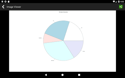 Screenshot of the application R Programming Compiler - #8