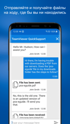 Screenshot of the application TeamViewer QuickSupport - #5