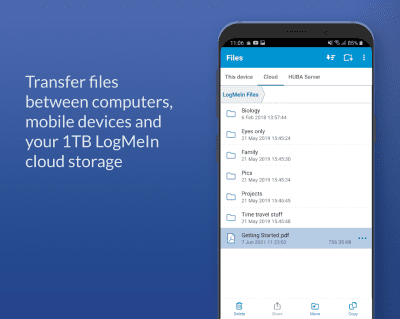 Screenshot of the application LogMeIn - #3