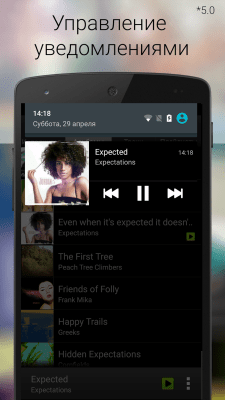 Screenshot of the application Android Music Player - #6