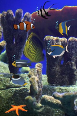 Screenshot of the application Pet Fish Tank - #1