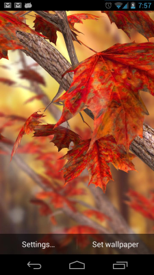 Screenshot of the application Autumn Tree Free Wallpaper - #1