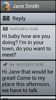 Screenshot of the application BL Aluminium Theme - #3