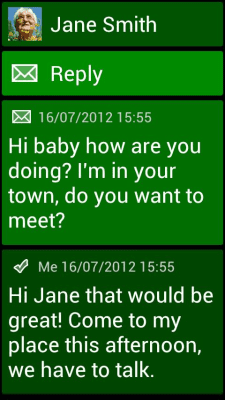 Screenshot of the application BL Emerald Theme - #3
