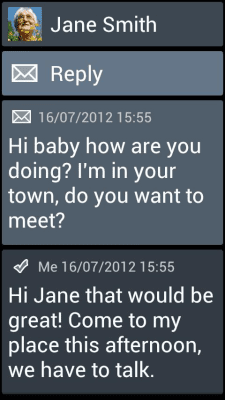 Screenshot of the application BL Steel Theme - #3