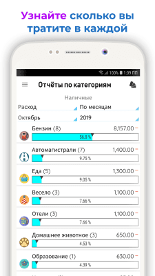 Screenshot of the application Daily Expenses - #5
